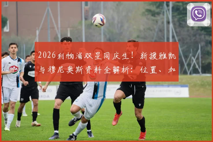 2026利物浦双星同庆生！新援雅凯与穆尼奥斯资料全解析：位置、加盟时间及生日趣闻