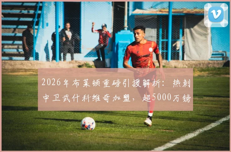 2026年布莱顿重磅引援解析：热刺中卫武什科维奇加盟，超5000万镑转会费背后有何考量？