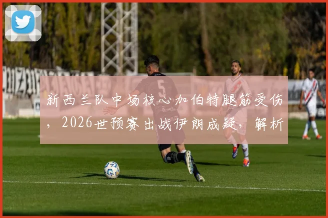 新西兰队中场核心加伯特腿筋受伤,2026世预赛出战伊朗成疑,解析伤病影响与阵容调整方案